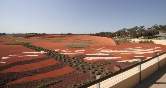 Ephemeral Lake, Cranbourne Botanic Gardens